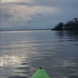 Meet your Posher, Millie